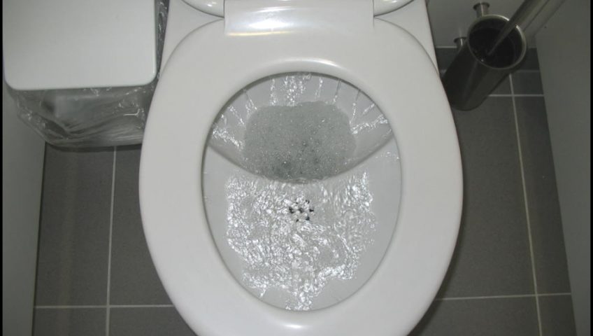 toilette, Choisir une toilette à faible débit ou non?, Plomberie Ren-Ga